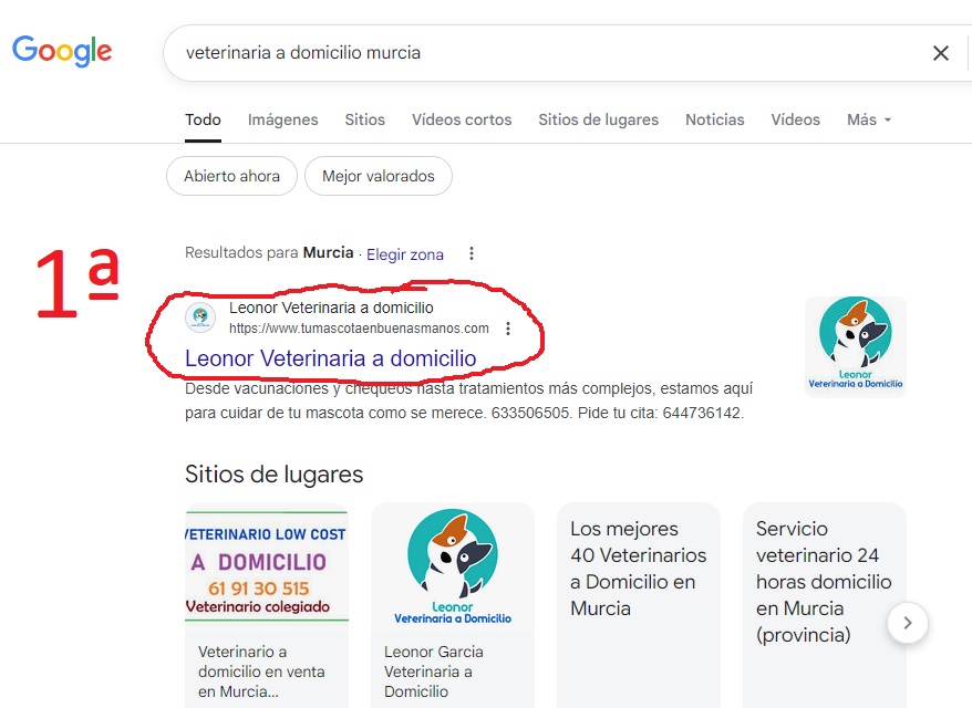 exito inventivia marketing agencia seo murcia